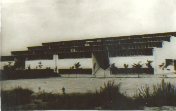 Edificio de terrazas escalonadas con largas hileras de ventanas, árboles jóvenes y un descampado delante.